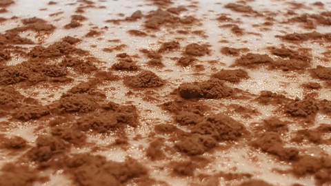 animation showing close up of cocoa powder floating on coffee and then showing wide shot