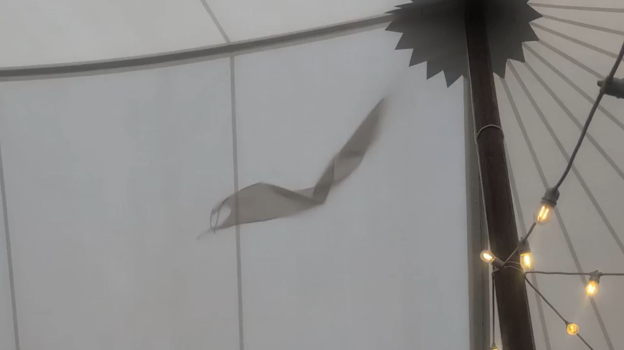 The shadow of a penant from inside of a white tent
