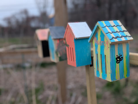 A row of colorfully painted butterfly houses, the closest one with the name Audrey painted across the front