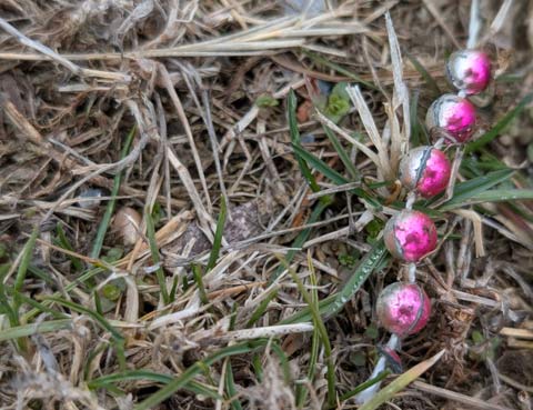 A short string of plastic beads, faded pink on one side, sun bleacehed silver on the other.