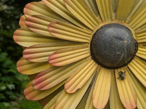 A bumble bee sitting on the petal of a large yellow metal flower