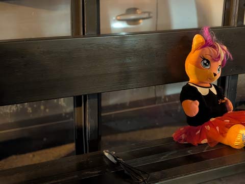 An orange cat doll, dressed in an outfit that looks like a girls sock hop outfit, sitting on a bench inside a sheltered bus stop