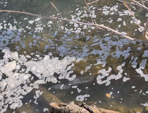 Current of a stream curving into an eddy