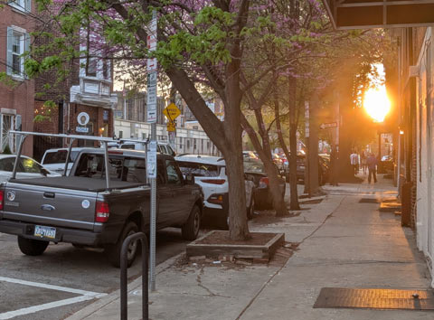 The sun setting just above the trees lined one one side of a city street street