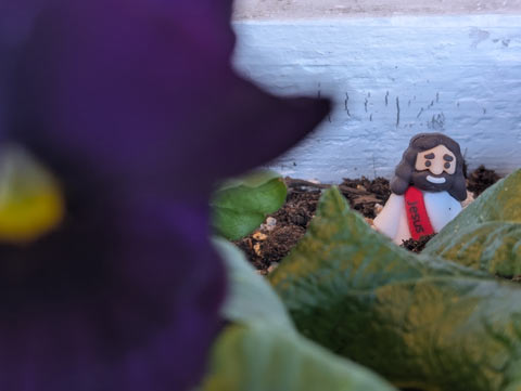 A small Jesus figurine standing among some petunias in a flower box