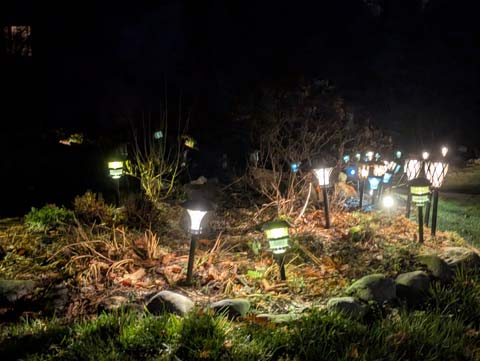 A row of solar powered lights lined in a row along the edge of a lawn