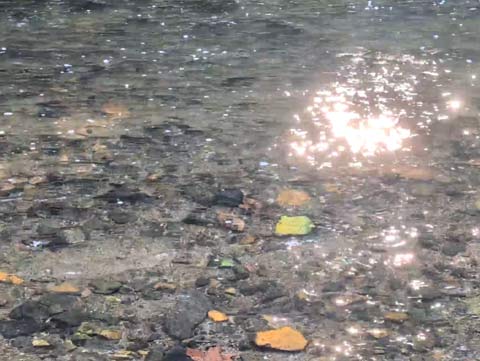 Sunlight reflecting on the surface of a stream