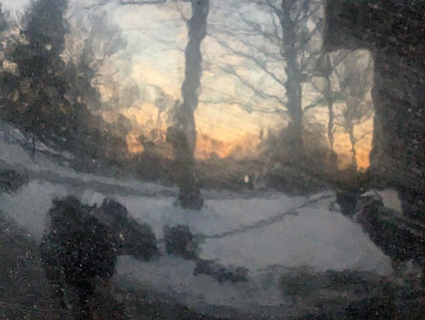 A reflection on the spherical top of a metal trash receptacle showing the sun setting is the distance. A blurry image of the photograper and his dog are included