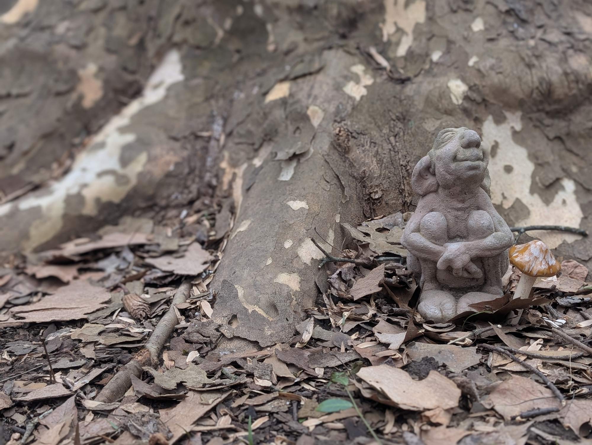 A cement figure of a gnome sniffing the air while sitting next to a ceramic mushroom at the base of a Sicamore tree